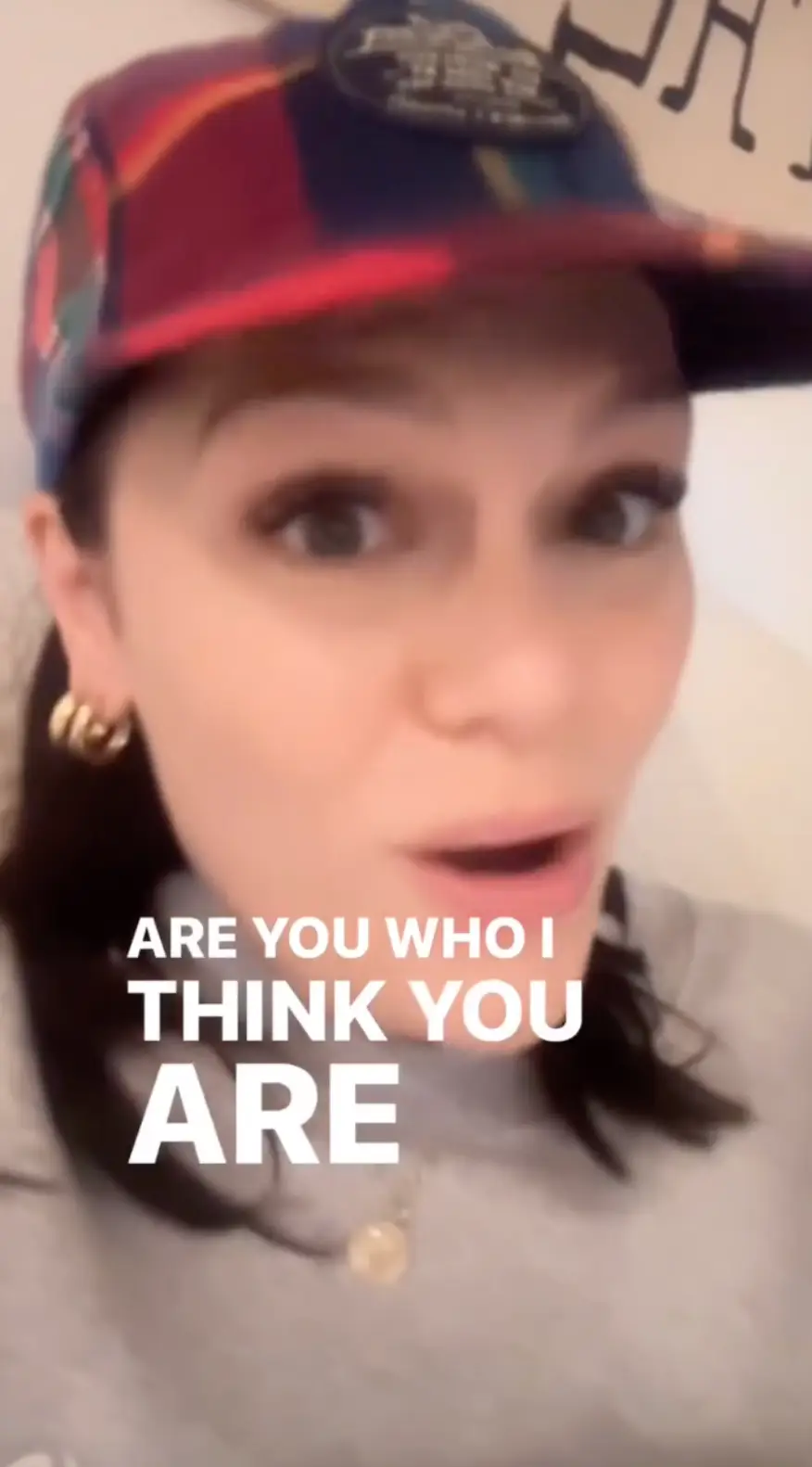 'Do It Like a Dude' singer, Jessie J, has opened up about what she questions she can't stand being asked (Instagram/@jessiej)