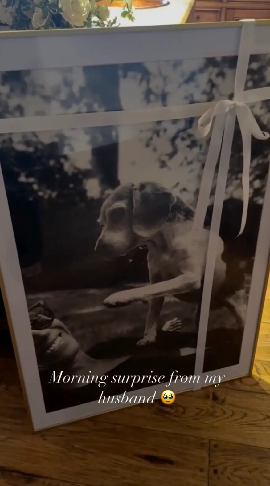 The Sussexes' family dog, Guy, sadly died earlier this year (Instagram/@meghan)