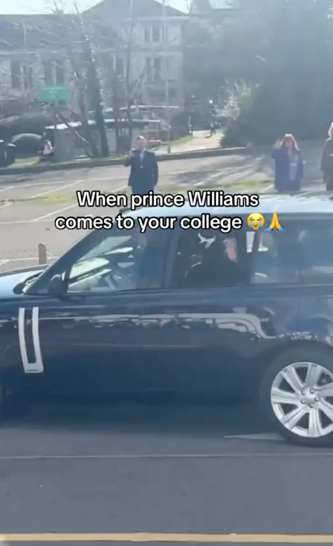 The short clip has over 6.5 million views (TikTok/@sonnyisfrisky2)