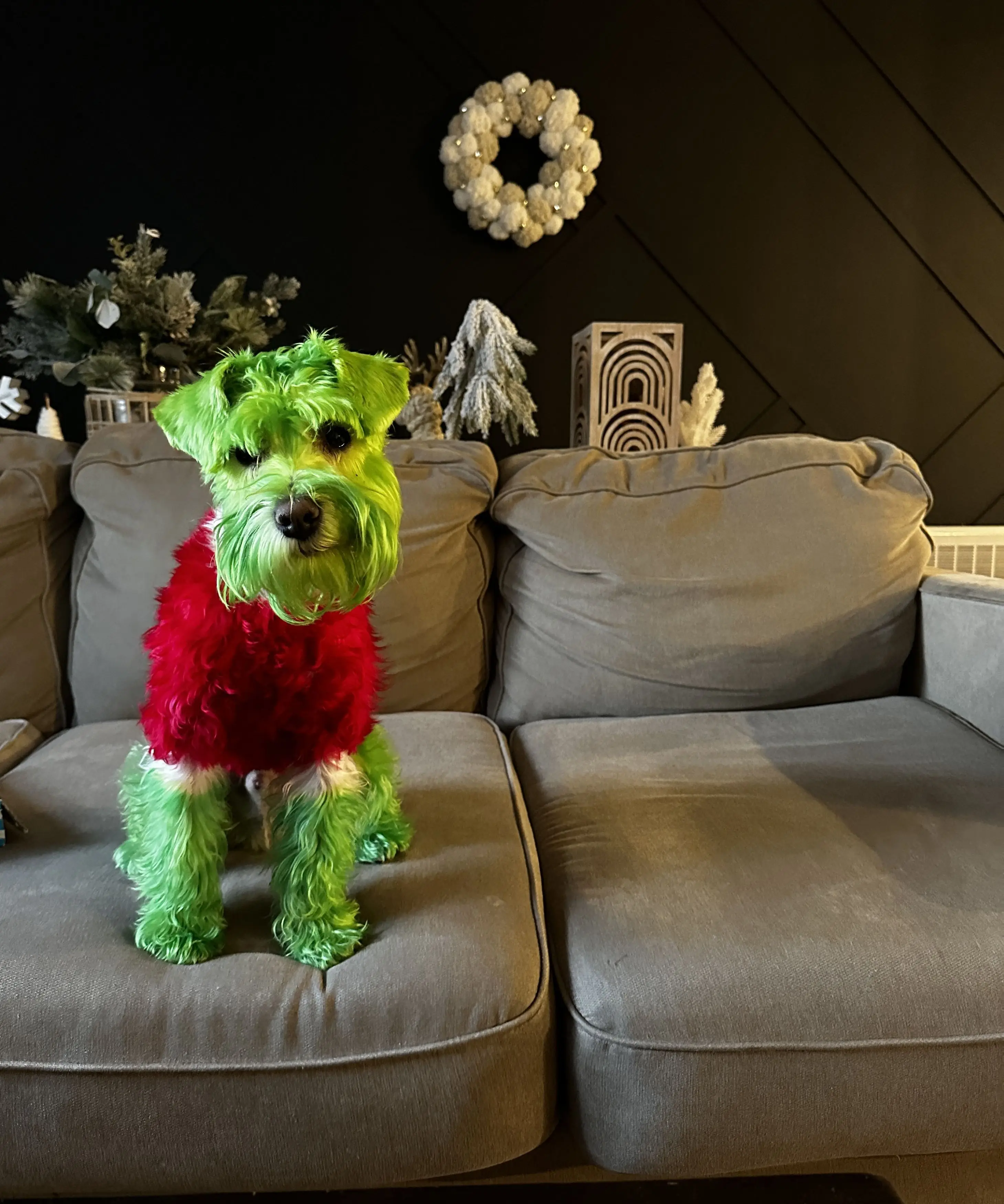 Ashley has made clear Rizzo is well loved.