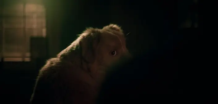 The decision has caused controversy among film fans (Independent Film Company)