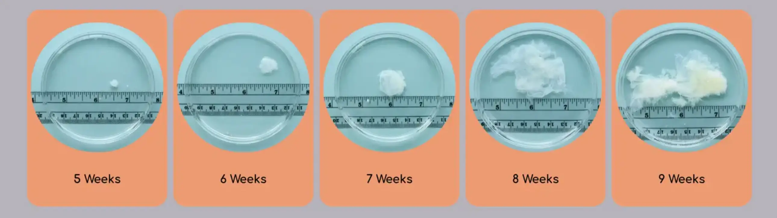 People have been 'stunned' and 'surprised' by the images.