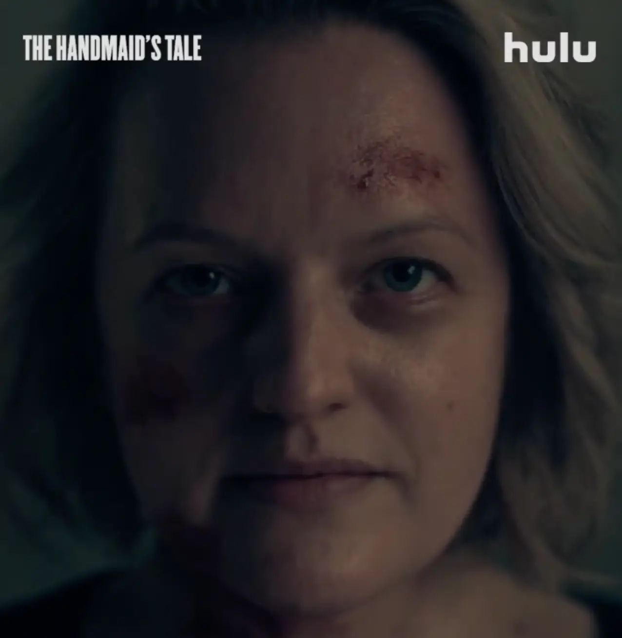 The new season drops on 14 September.