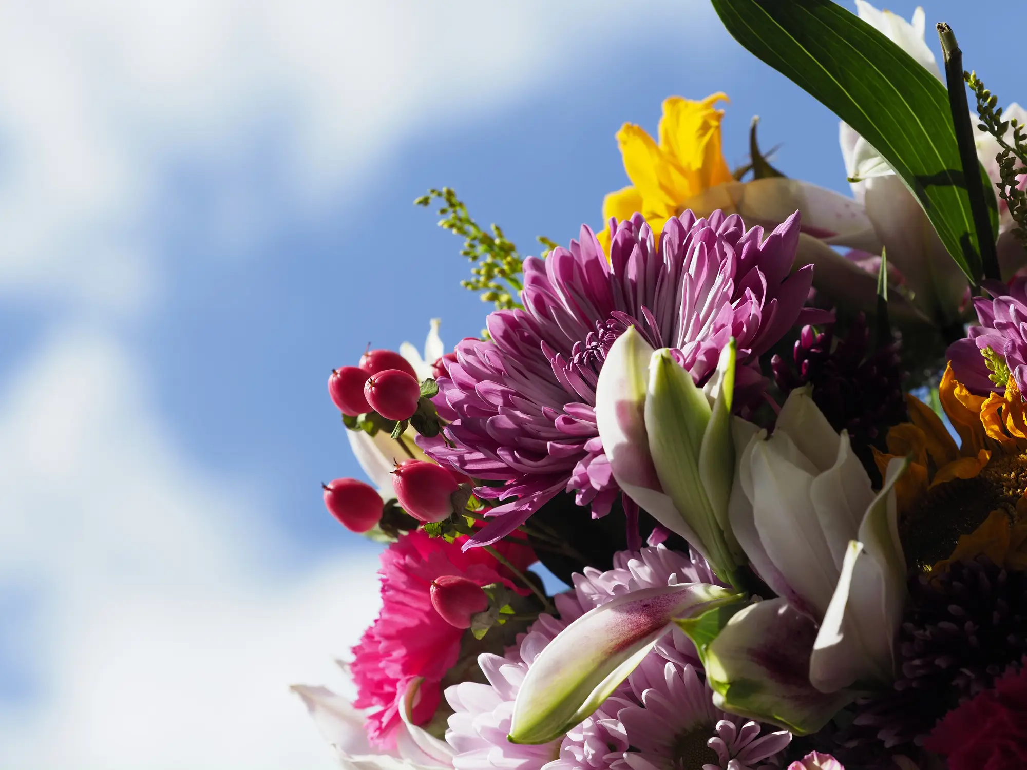 Linda said she lived life with 'two superpowers' (Vlad Georgescu / Getty Images)