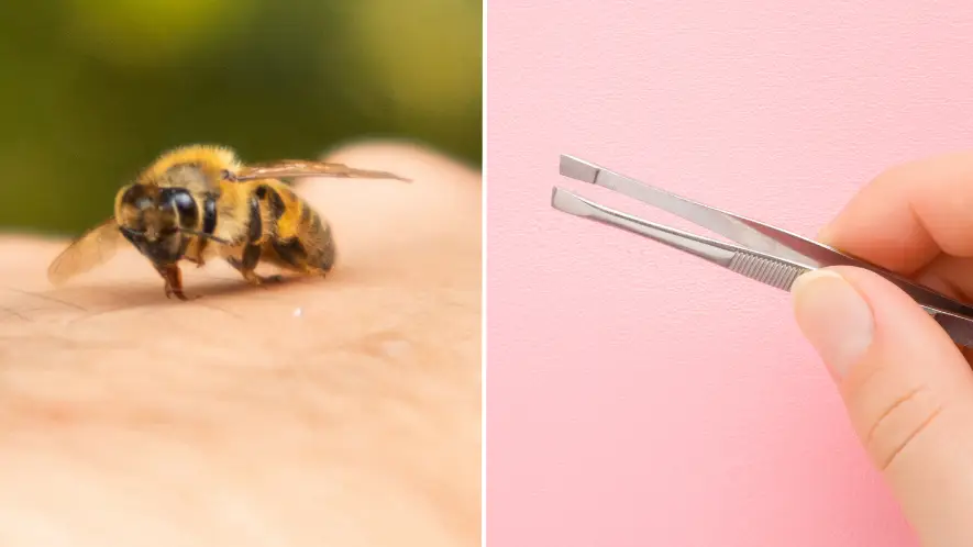 Aekprachaya Ayuyuen/FotoDuets/Getty Images