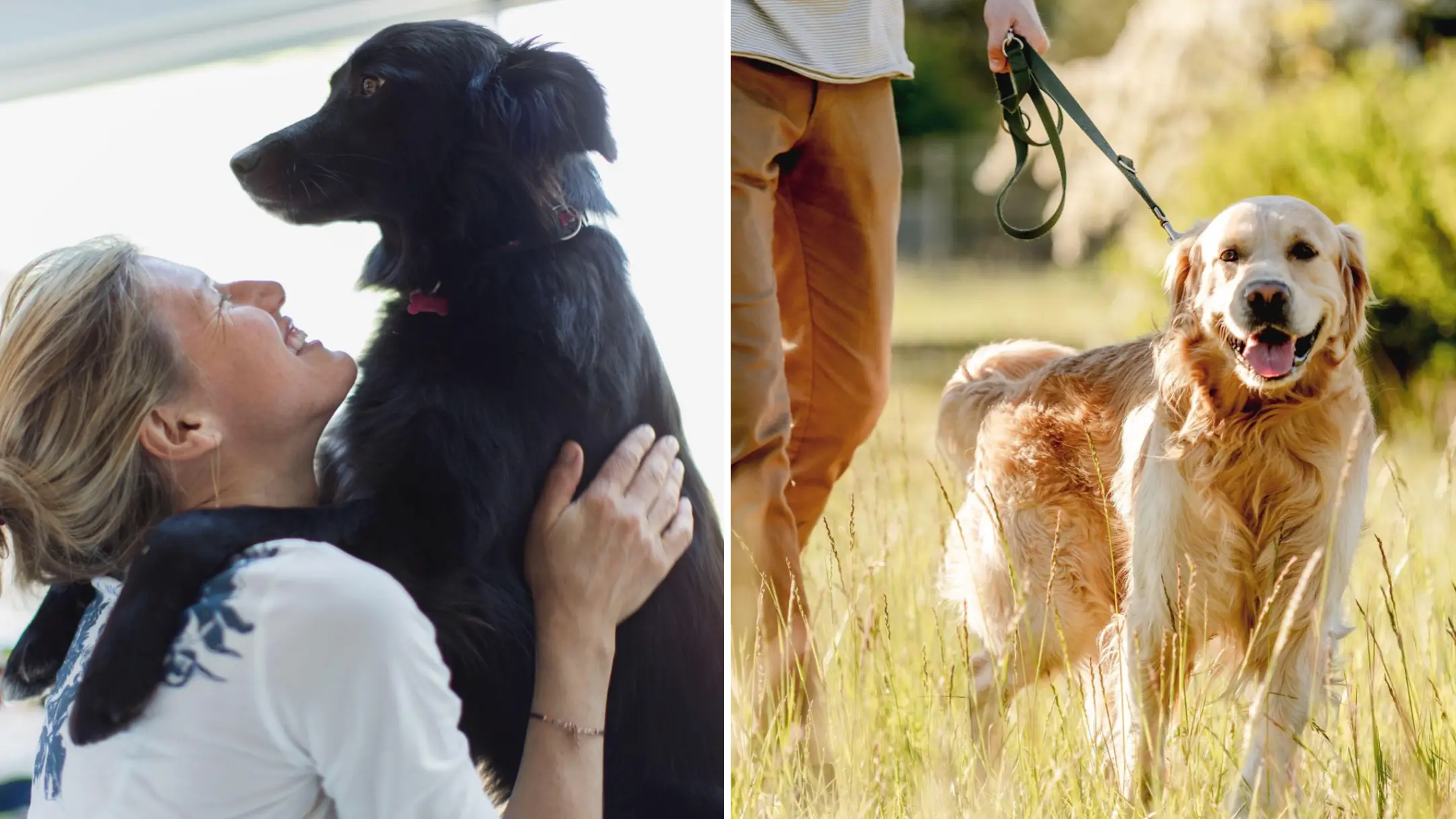 Tony Tallec/Tetyana Vychegzhanina/Alamy Stock Photo