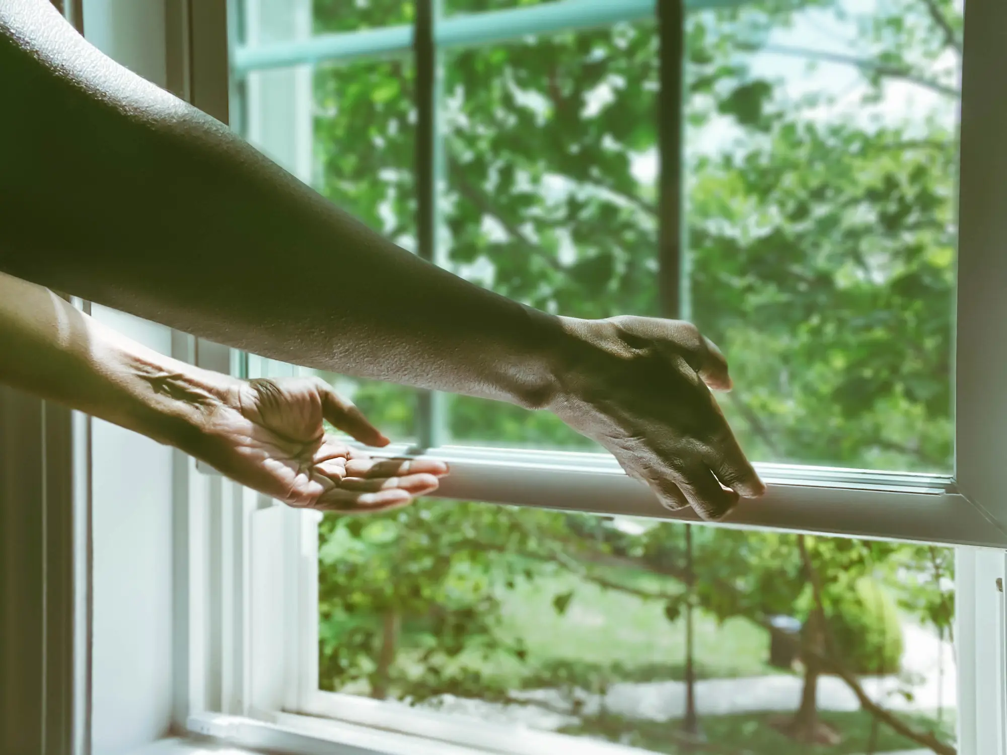 You may want to think twice before opening your windows with the light on this summer. (Grace Cary / Getty Images)