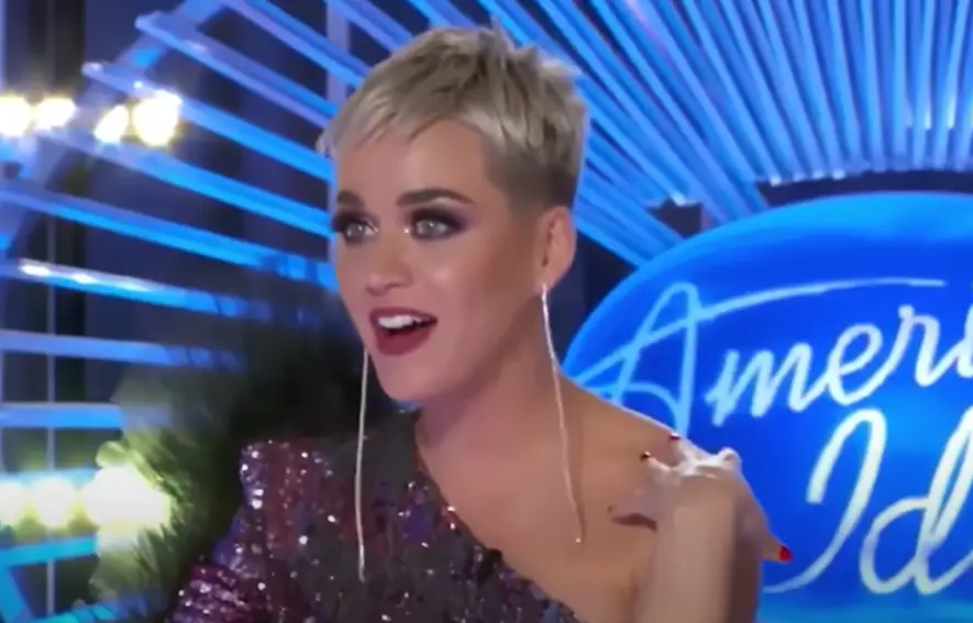 Perry got the reference immediately (American Idol)