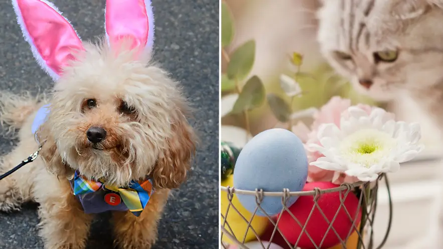 Bo Zaunders/Westend61/Getty Images