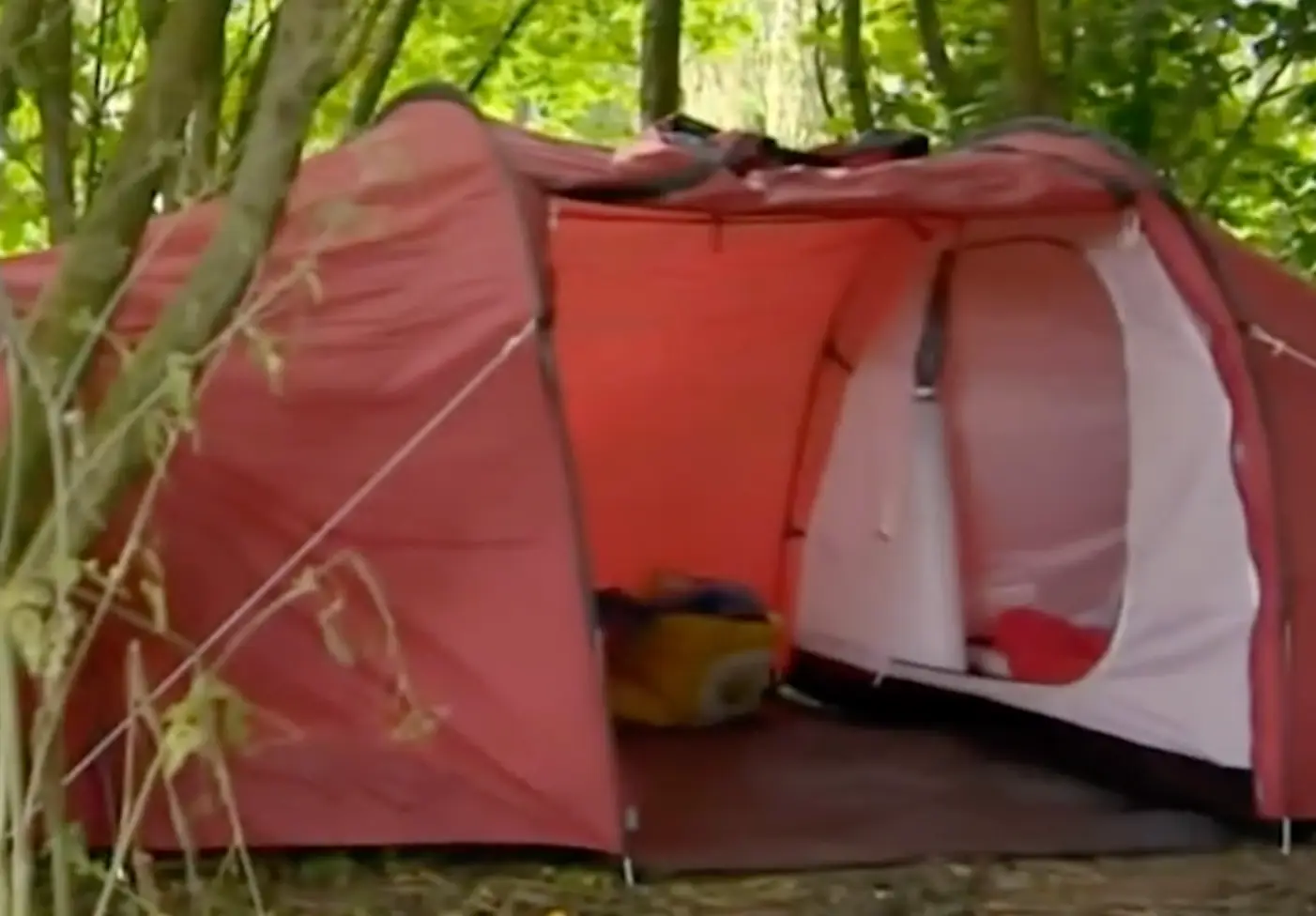 The mum pitched the tent in woodland.