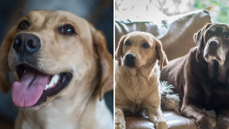 Chris McLoughlin/Getty Images