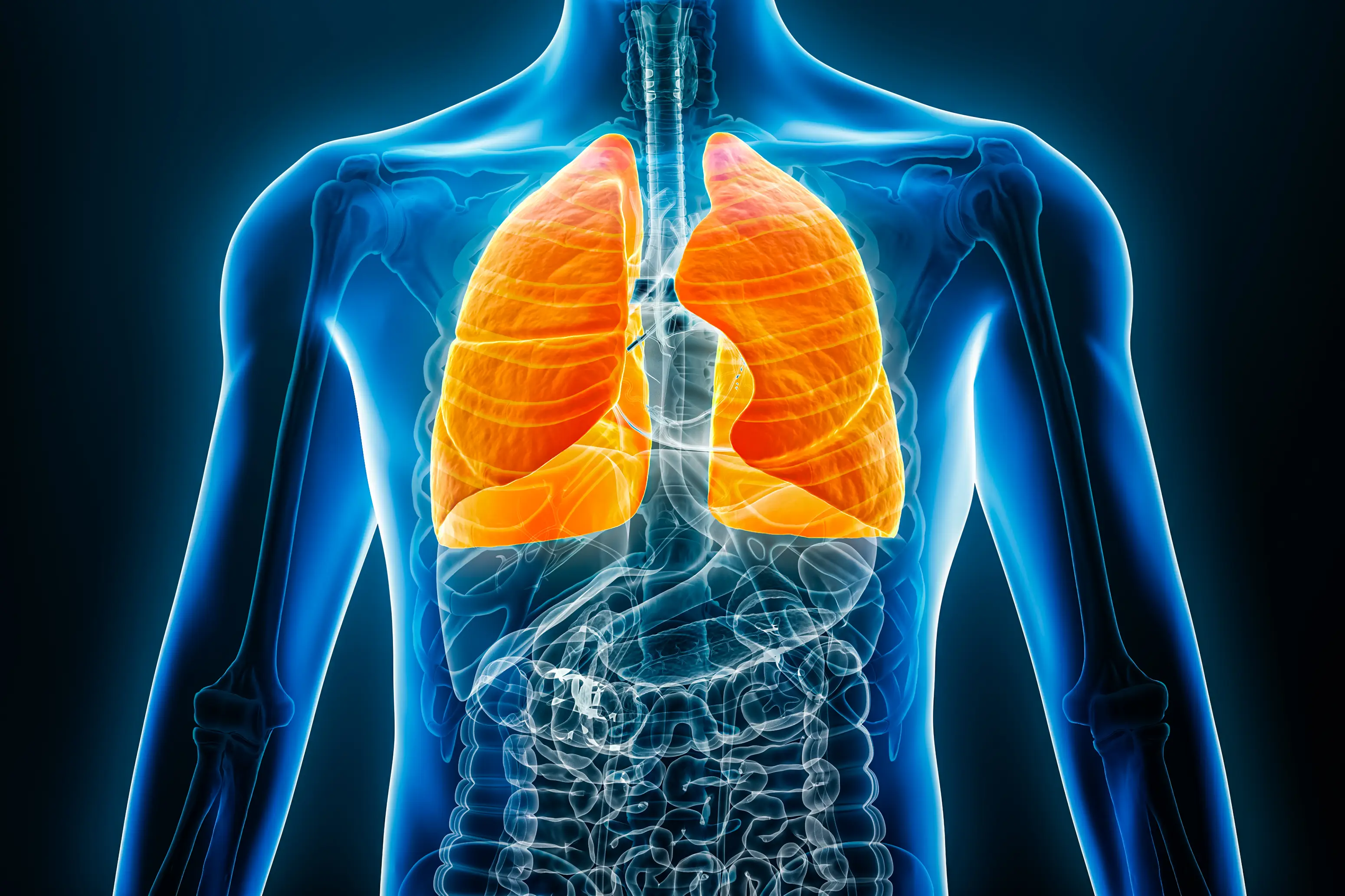Pulmonary fibrosis is the buildup of scar tissue in your lungs, which can make breathing increasingly difficult (Getty Stock Images)