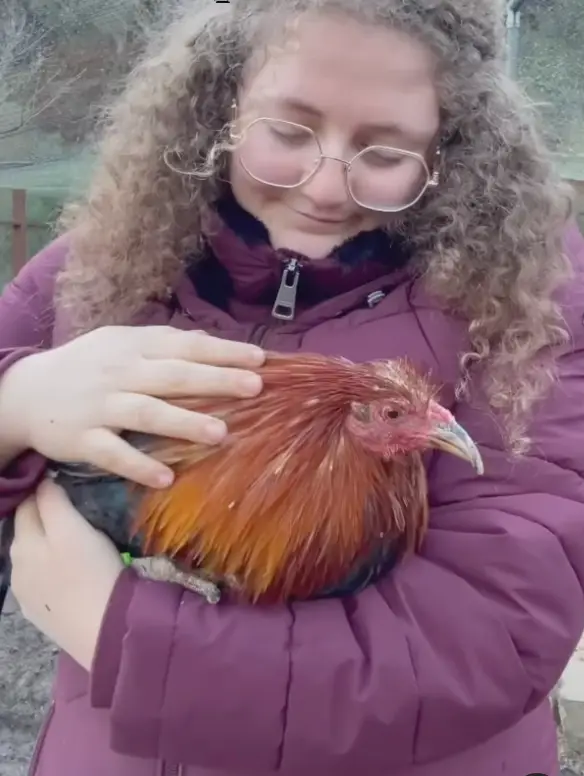 Zoe Rosenberg was first arrested in May 2023 (Instagram/@zoe_rooster)