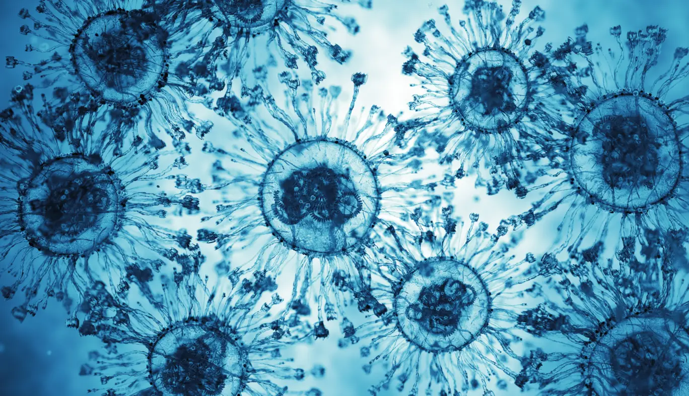 Mpox could be on the cards (Getty Stock Images)