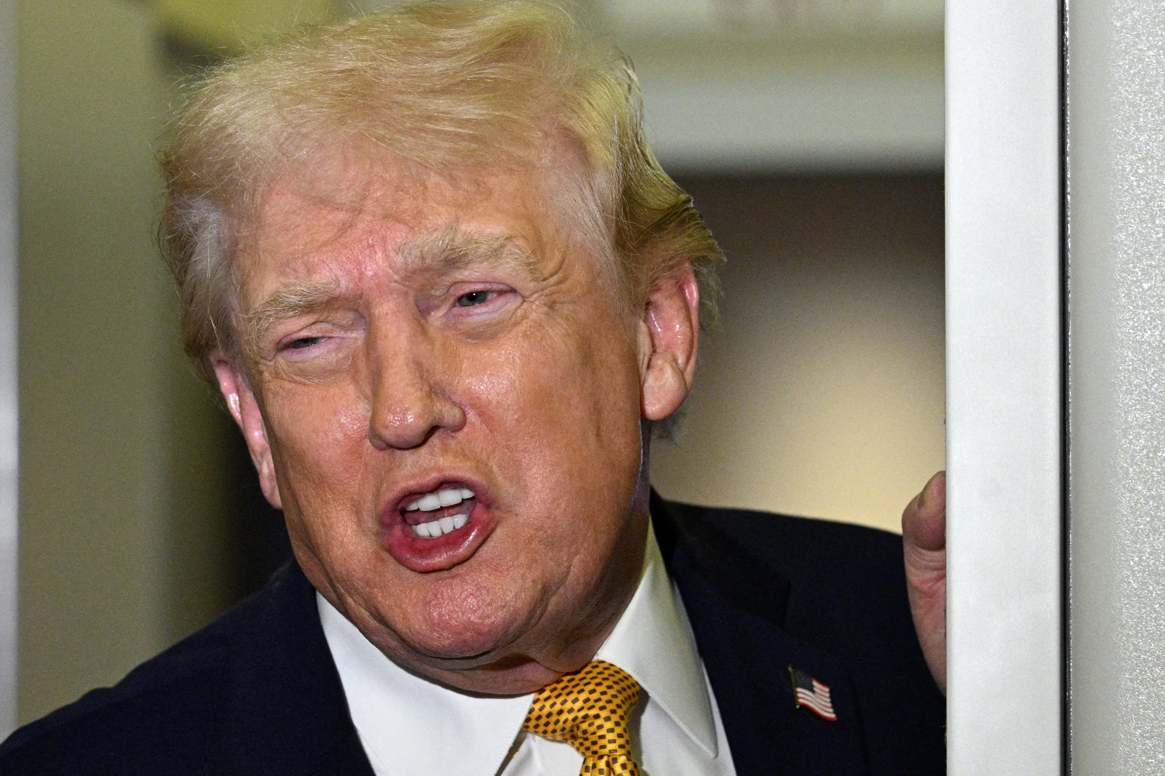 Trump's actions have caused fear a prediction may come true (Jim WATSON / AFP via Getty Images)