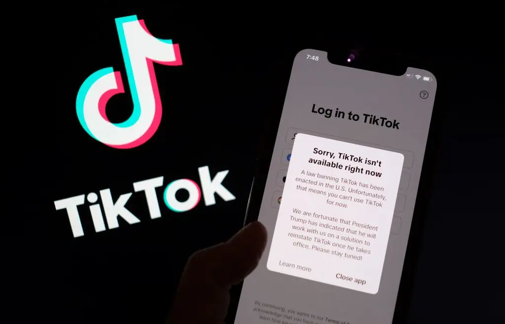 The TikTok ban was proposed to come into affect on Sunday (19 January) (CHRIS DELMAS / Contributor / Getty Images)
