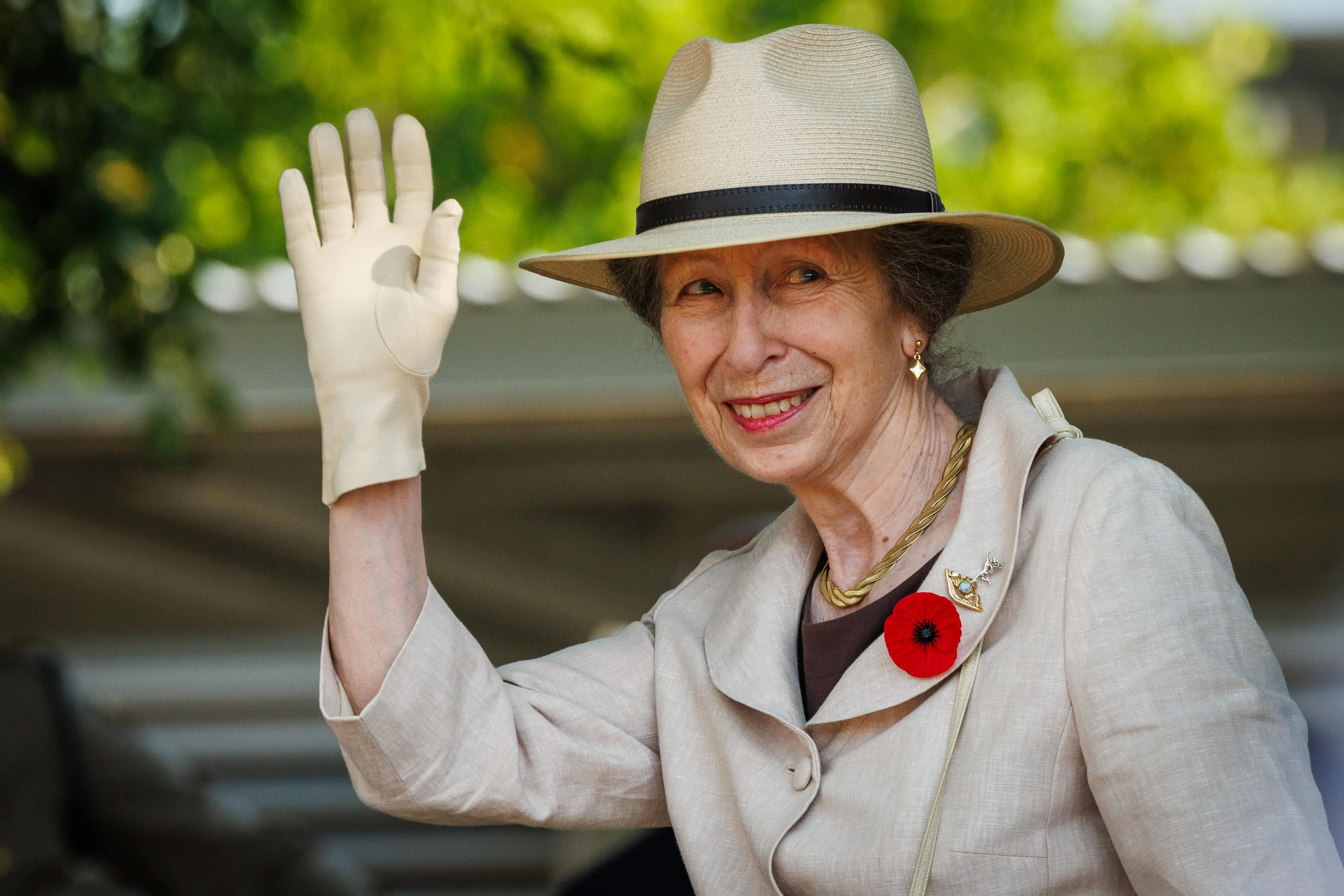 Harrold believes Anne's biggest superpower is her lack of agenda (Patrick Hamilton-Pool/Getty Images)