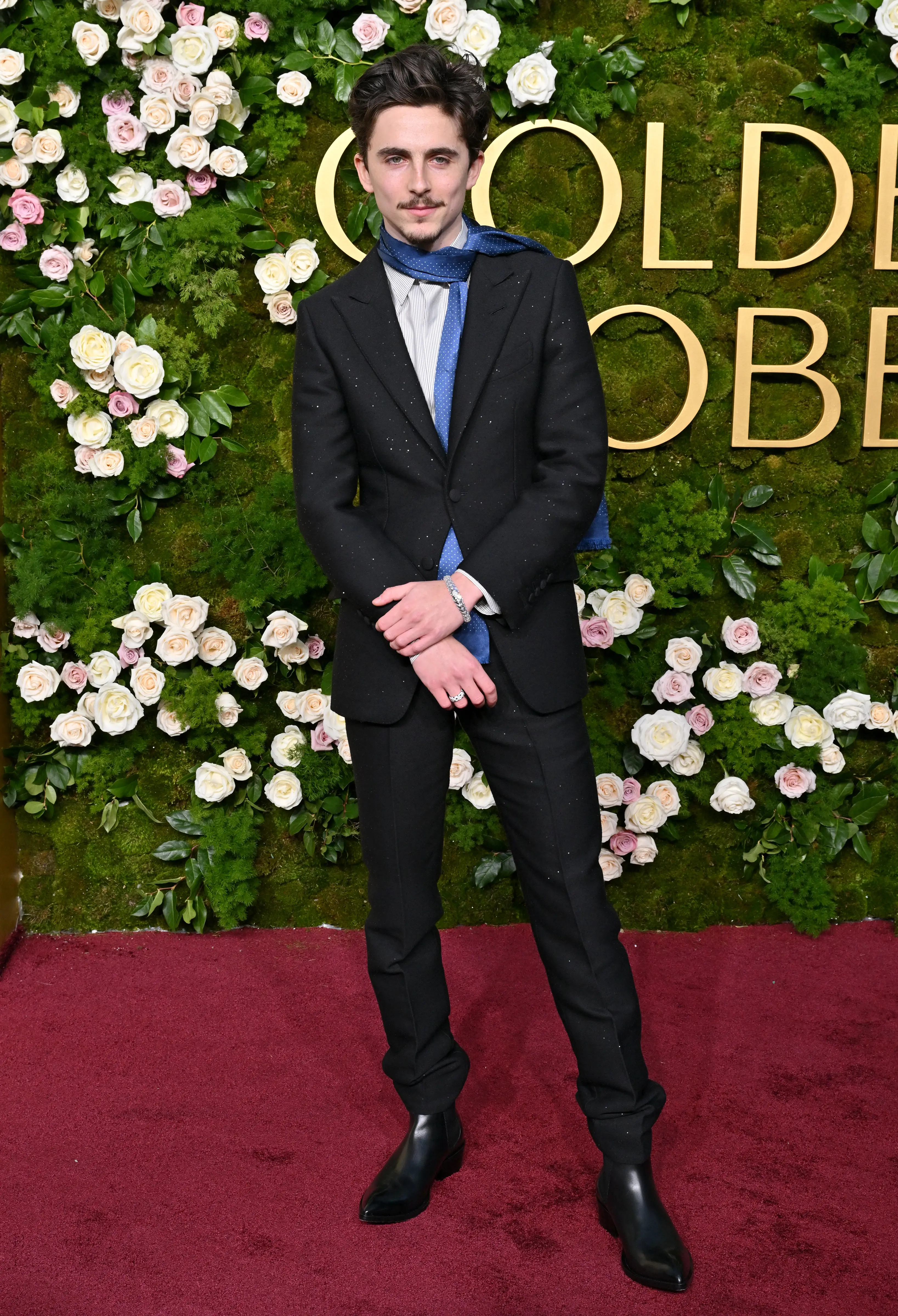 Timothée appeared on the red carpet alone (Axelle/Bauer-Griffin/FilmMagic)