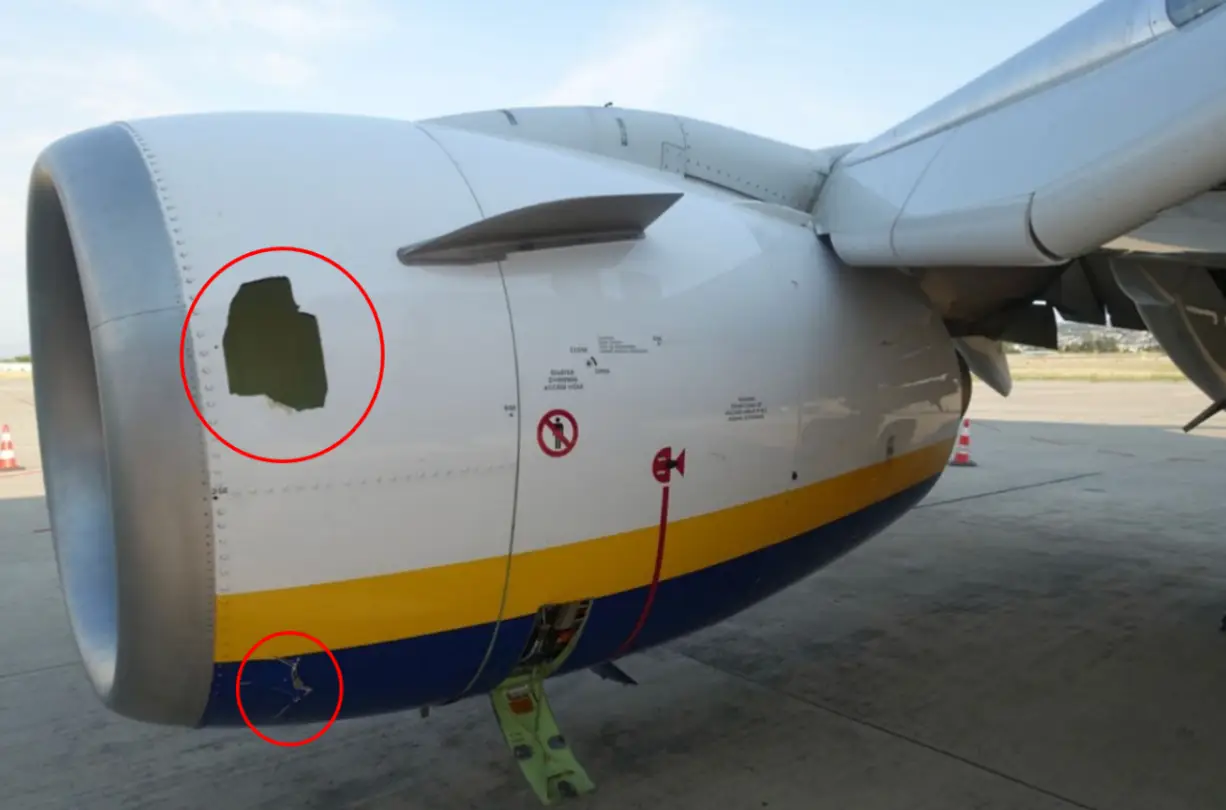 Karović’s lawyer has strongly rejected the CEO’s opinion (NTSB)