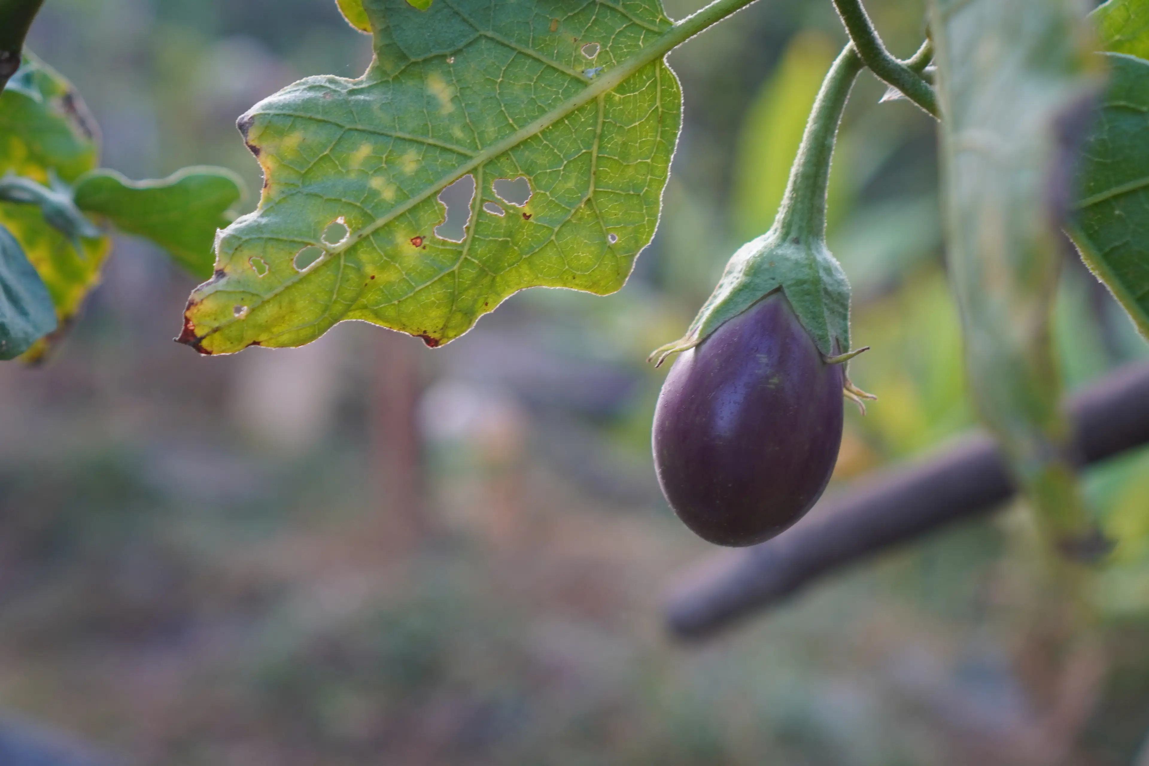 In relationships, playful names can even signal affection, Beresford said (Getty Stock Images)
