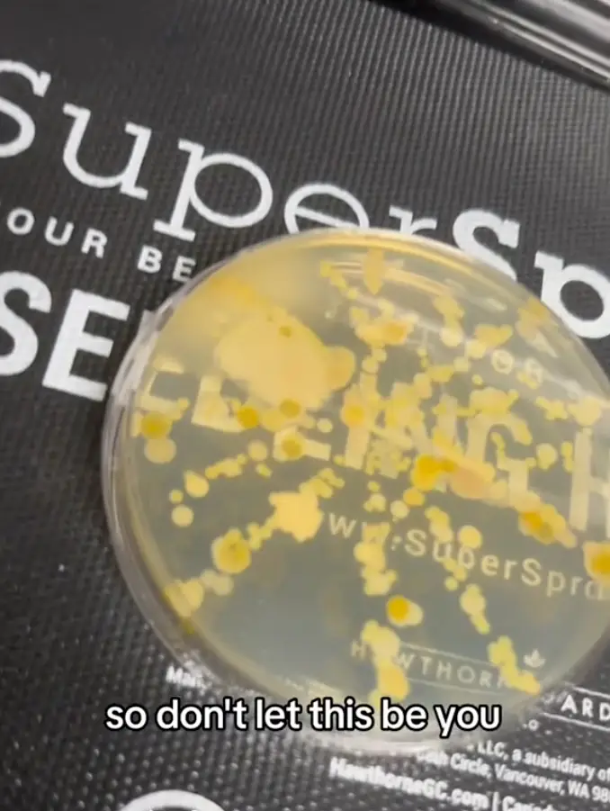 TikTok/@manifested_this