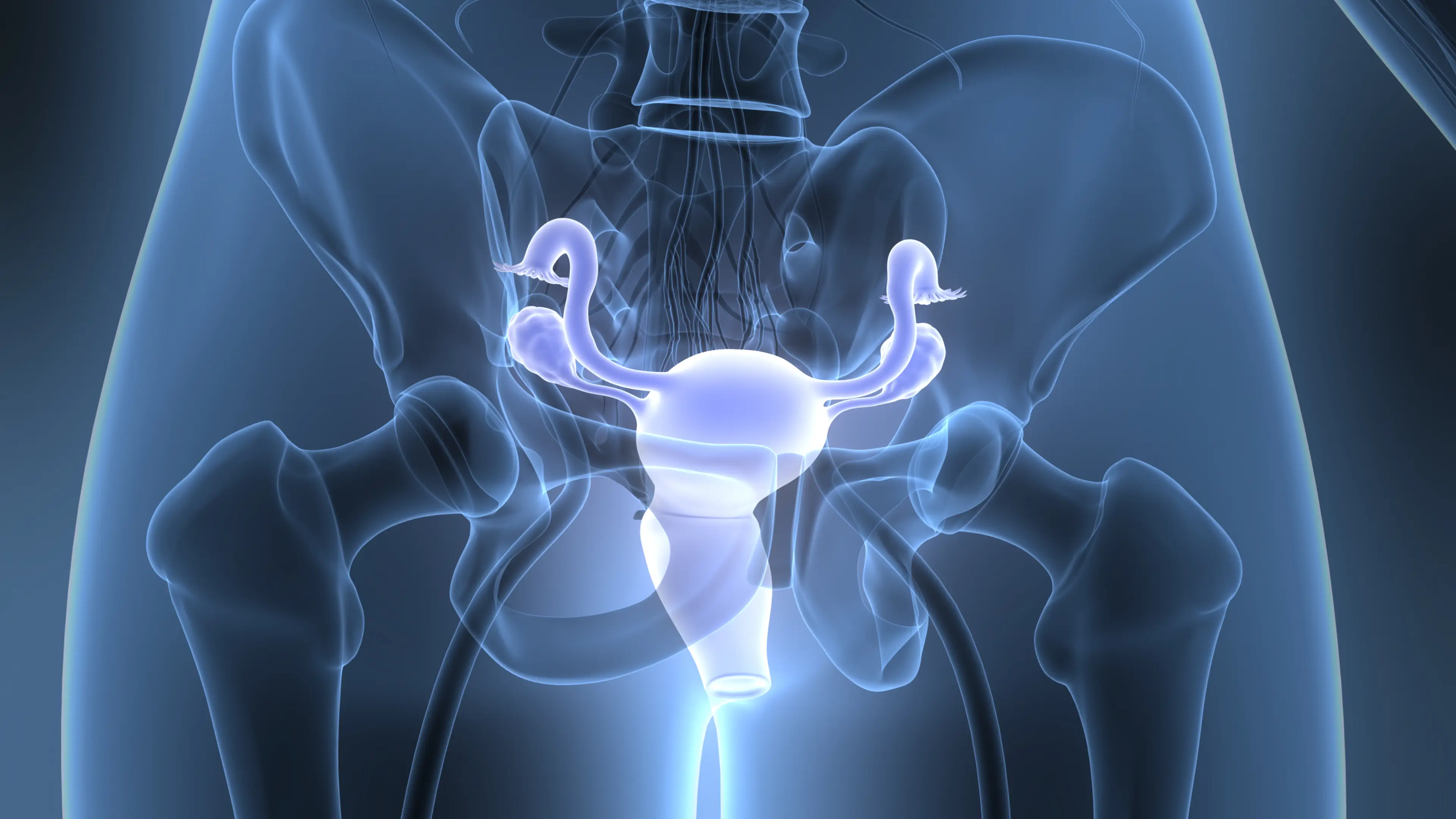 Symptoms of vulvar varicosities include fullness, pressure, pain and itchiness in your vulvar region (Getty Stock Image)