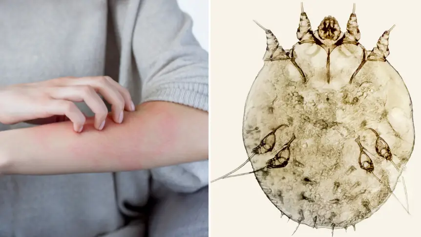 monstArrr_/nnorozoff/Getty Images