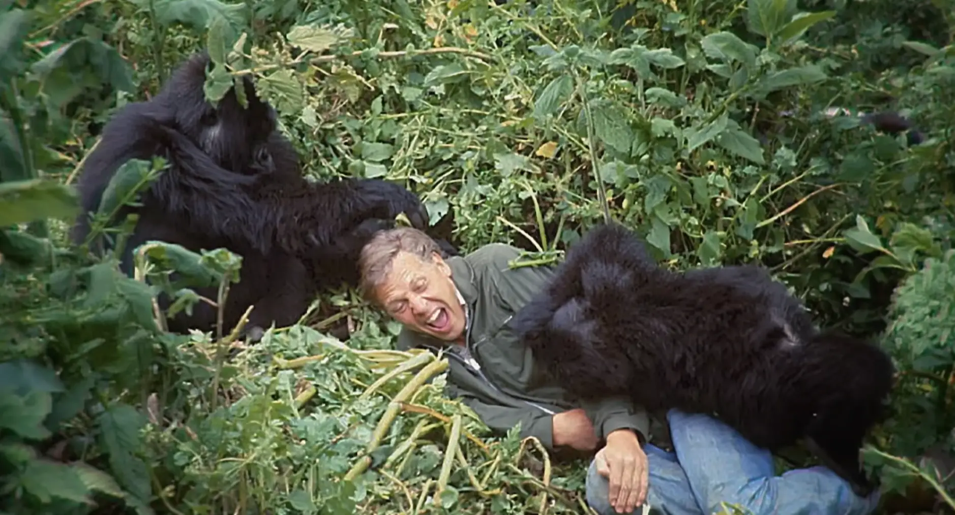 Attenborough recalled the sweet moment (BBC)