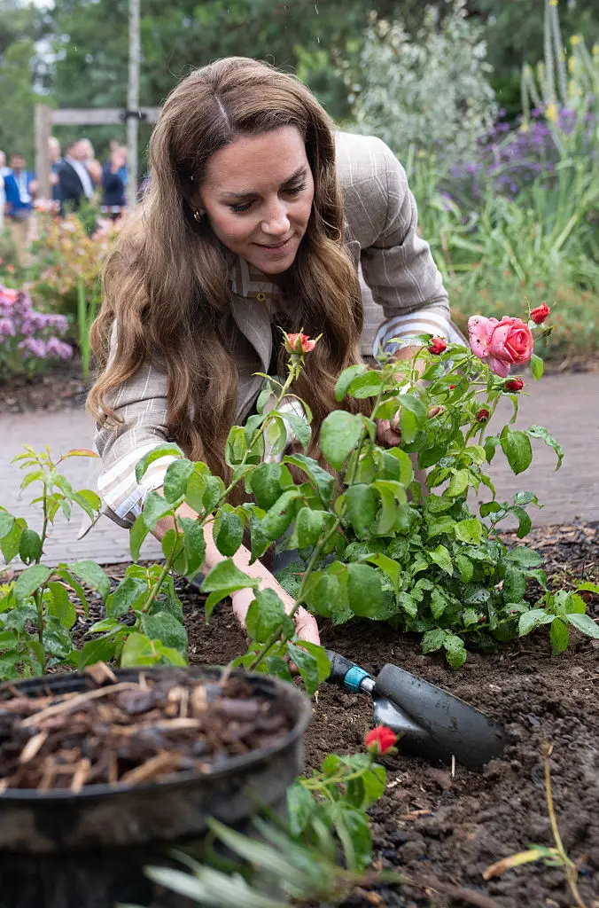 Kate Middleton, 43, shared an update on her cancer recovery journey at Colchester Hospital yesterday (2 July (WPA Pool / Pool / Getty Images)