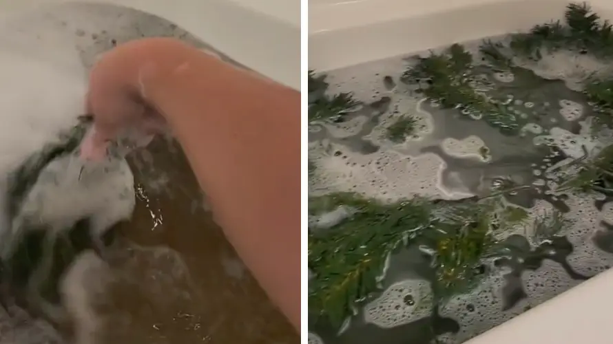 TikTok/@marismith619