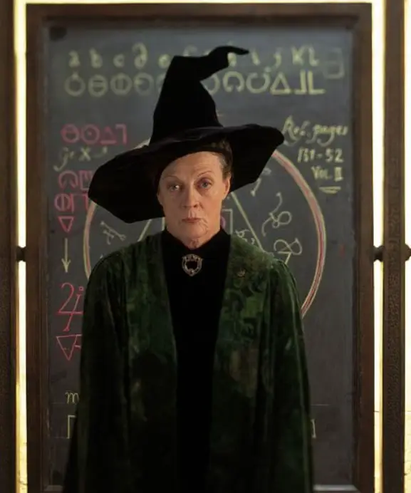 She played the character for a decade (Warner Bros)