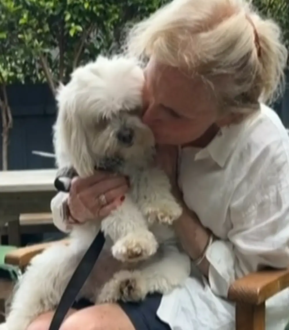 Judy was walking her five-year-old Maltese Shih Tzu, Clarrie.