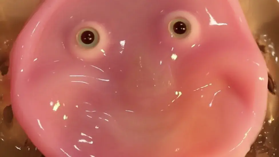 Scientists at the University of Tokyo have shared their latest technological breakthrough. (Takeuchi et al)