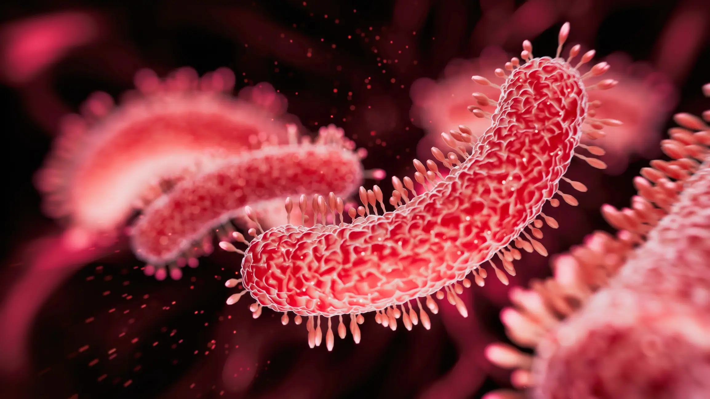 Meningitis can lead to sepsis when the bacteria causing the infection spread beyond the meninges and enter the bloodstream (Getty Stock Images)