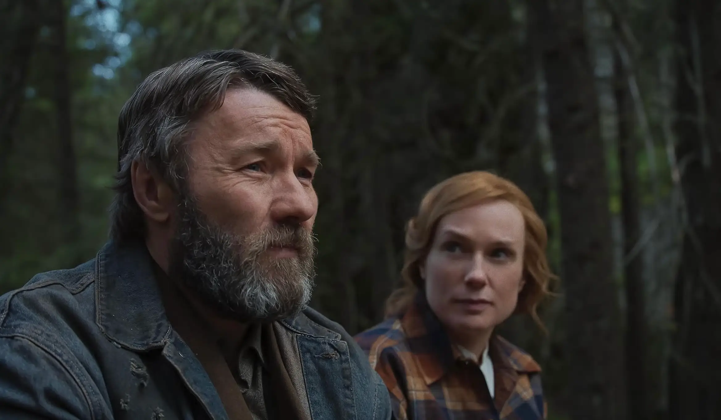 Train Dreams has been nominated for Best Picture (Netflix)