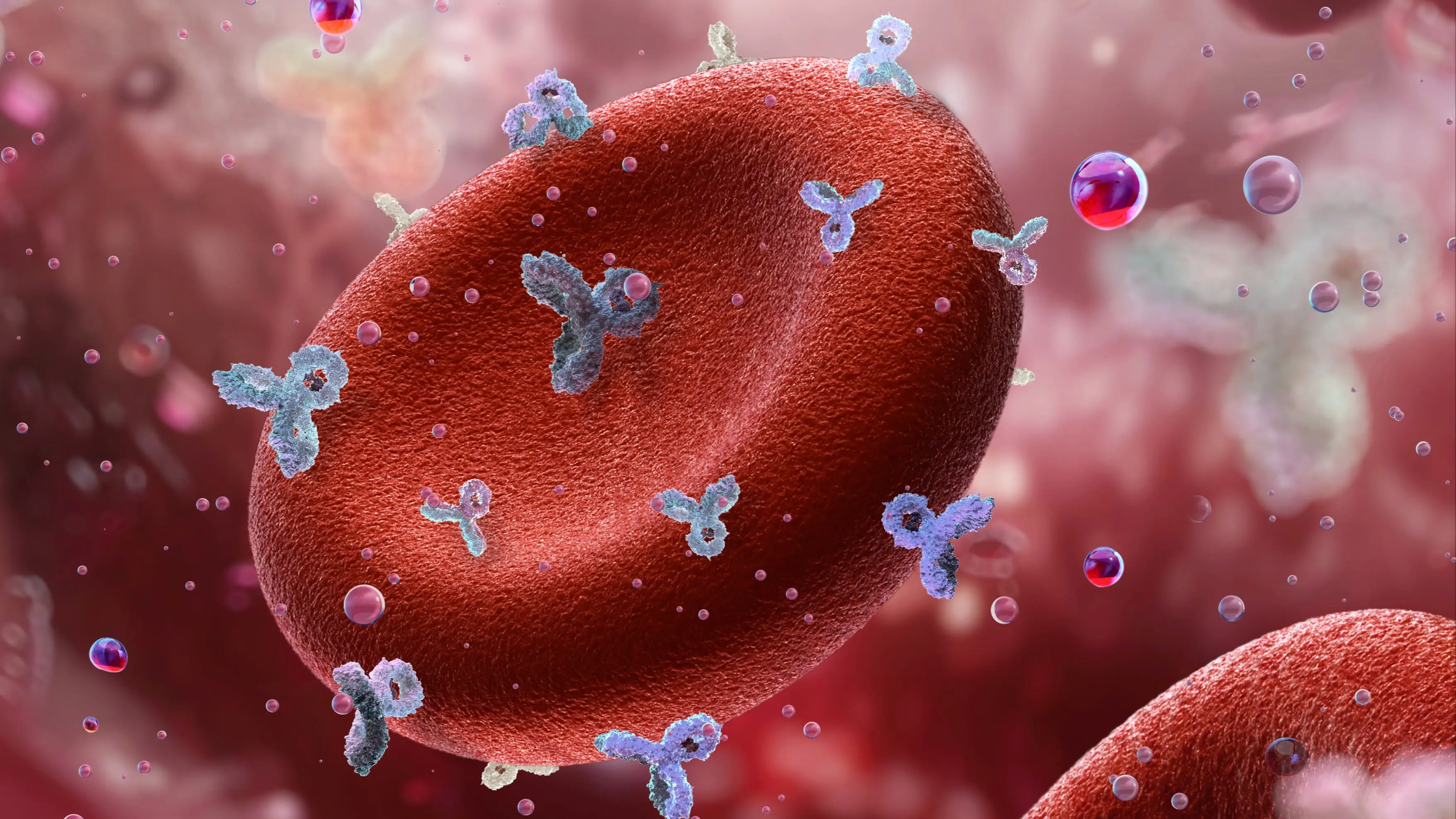 What your blood type means for you as one category increases cancer risk