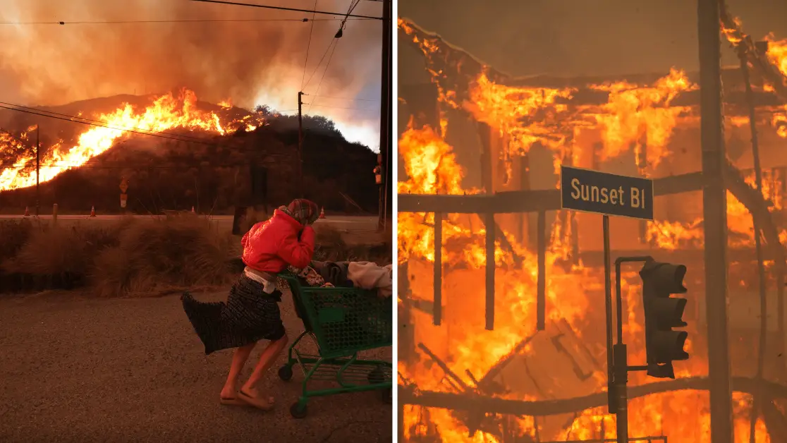 Apu Gomes/Getty Images