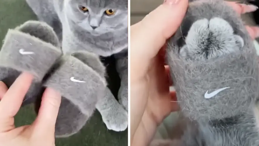 @mochithecatto/Instagram