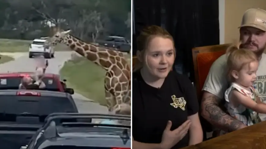 Lindsey Merriman via Storyful/ABC