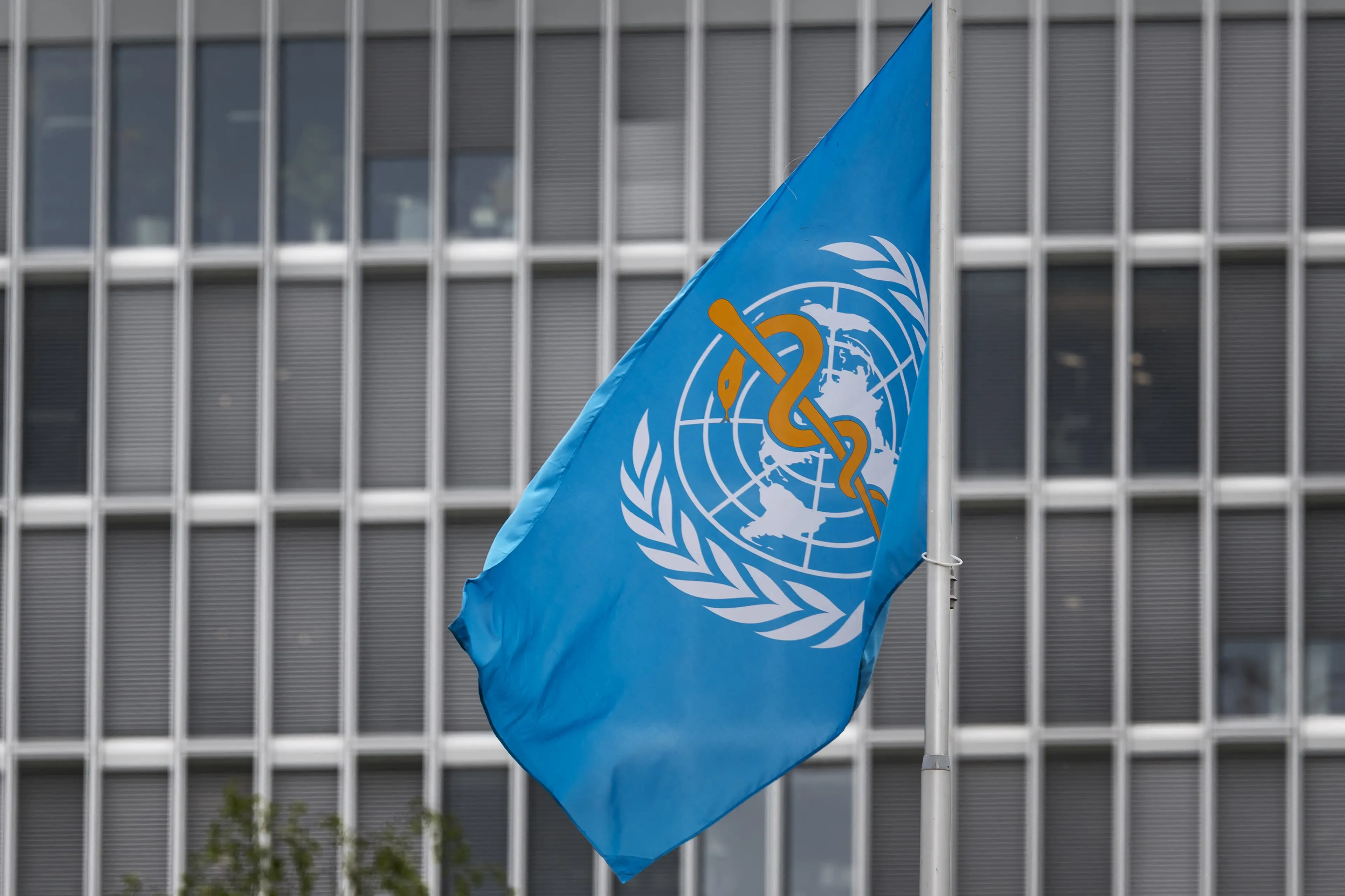 The WHO claimed it wasn't responsible for the ways that specific governments responded to the pandemic (FABRICE COFFRINI/AFP via Getty Images)