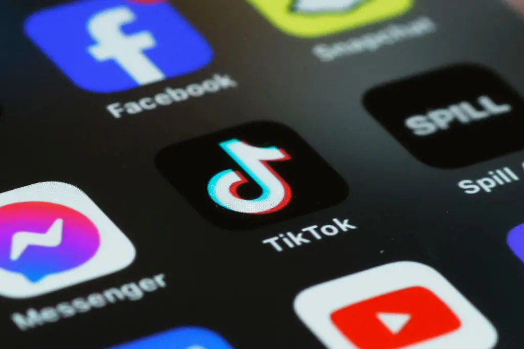 TikTok have spoken out against the trend (Michael M. Santiago/Getty Images)