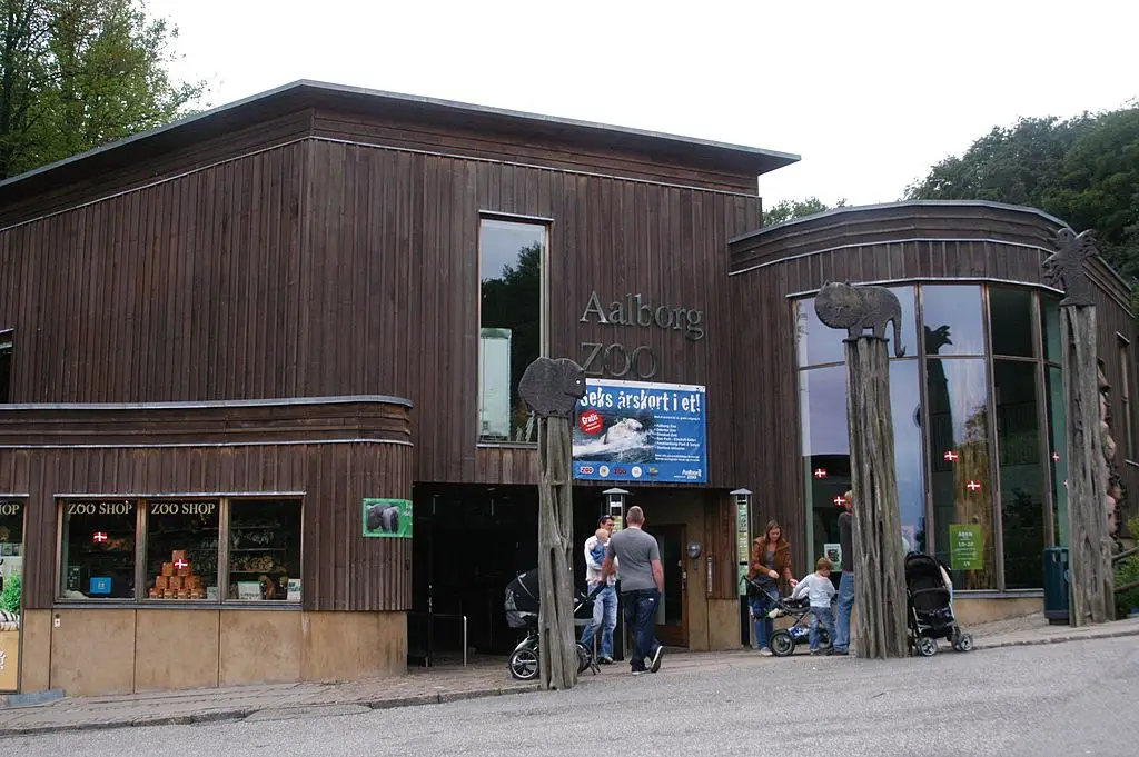 Aalborg Zoo in Denmark offers to take in people's unwanted pets to be used a food for their carnivorous animals (Peter Bischoff / Stringer / Getty Images)