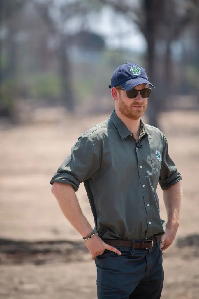 Harry served as president of African Parks for six years before joining the board in 2023 (Pool / Pool / Getty Images)