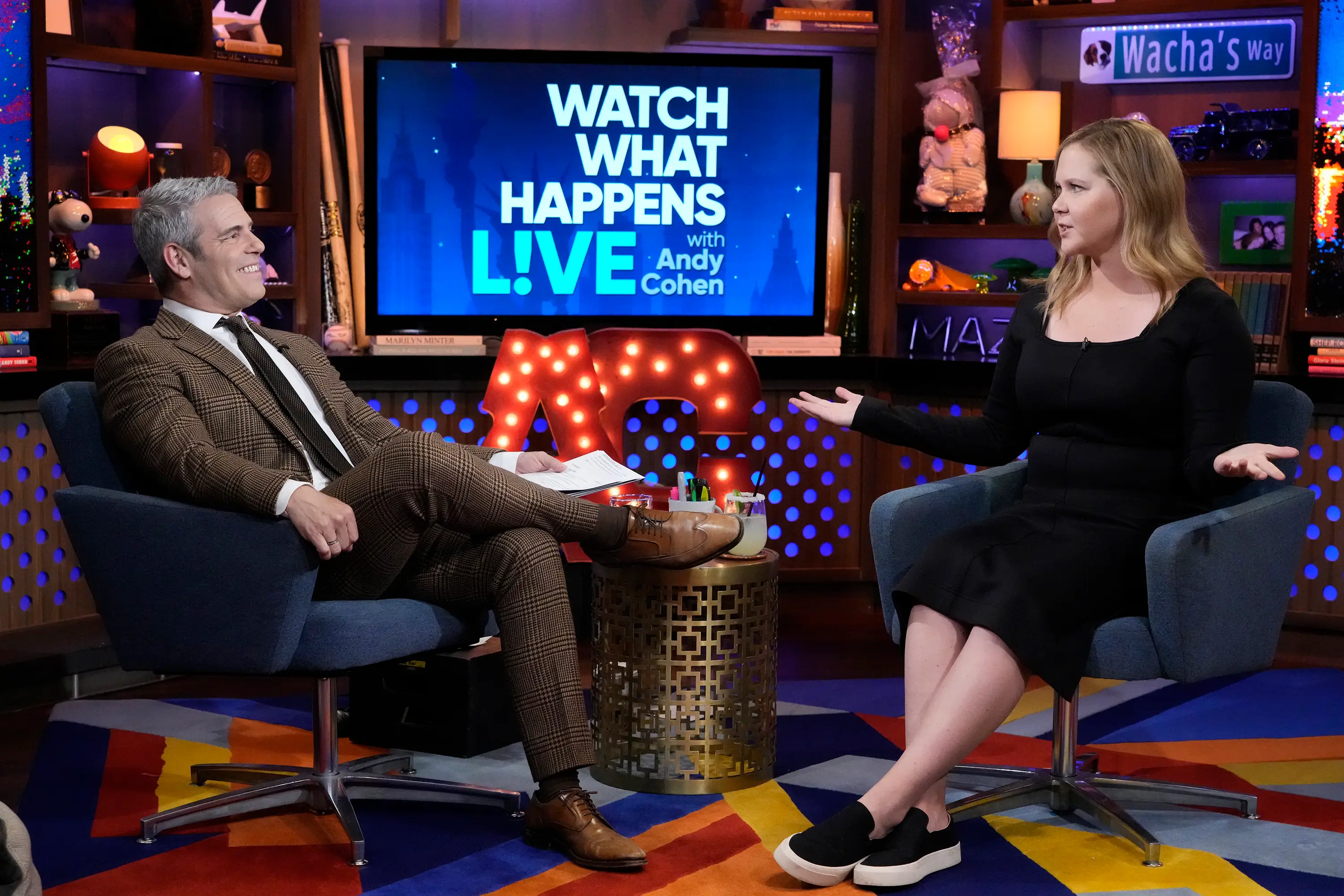 Schumer expressed her views during a live interview (Charles Sykes/Bravo/NBCU Photo Bank via Getty Images)