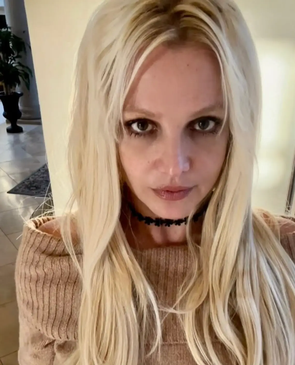 Fans have been concerned by 'erratic' videos and images uploaded by the singer in recent years (Instagram/@britneyspears)