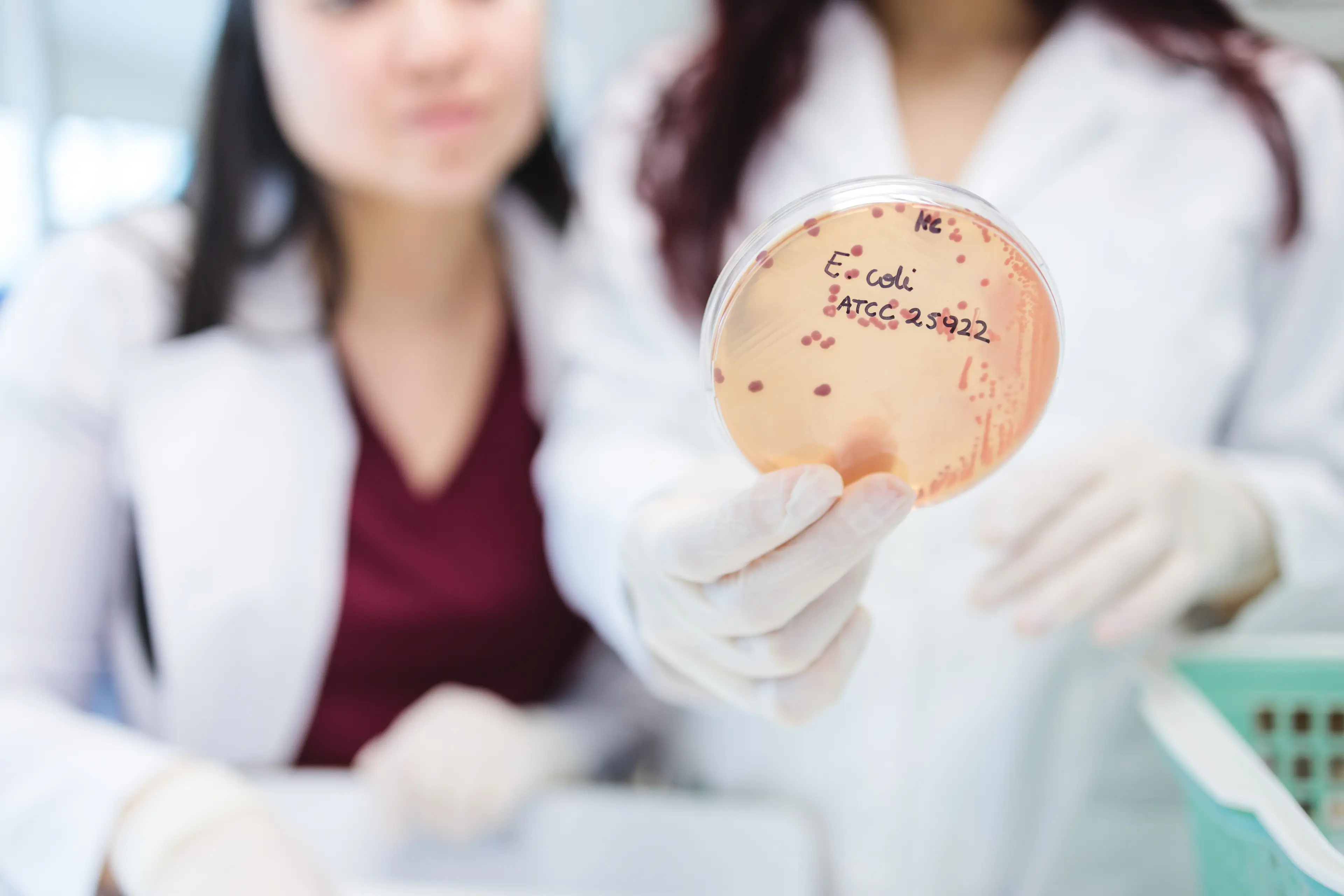 Marler has seen the devastating results of an E. coli infection (Getty Stock Image)