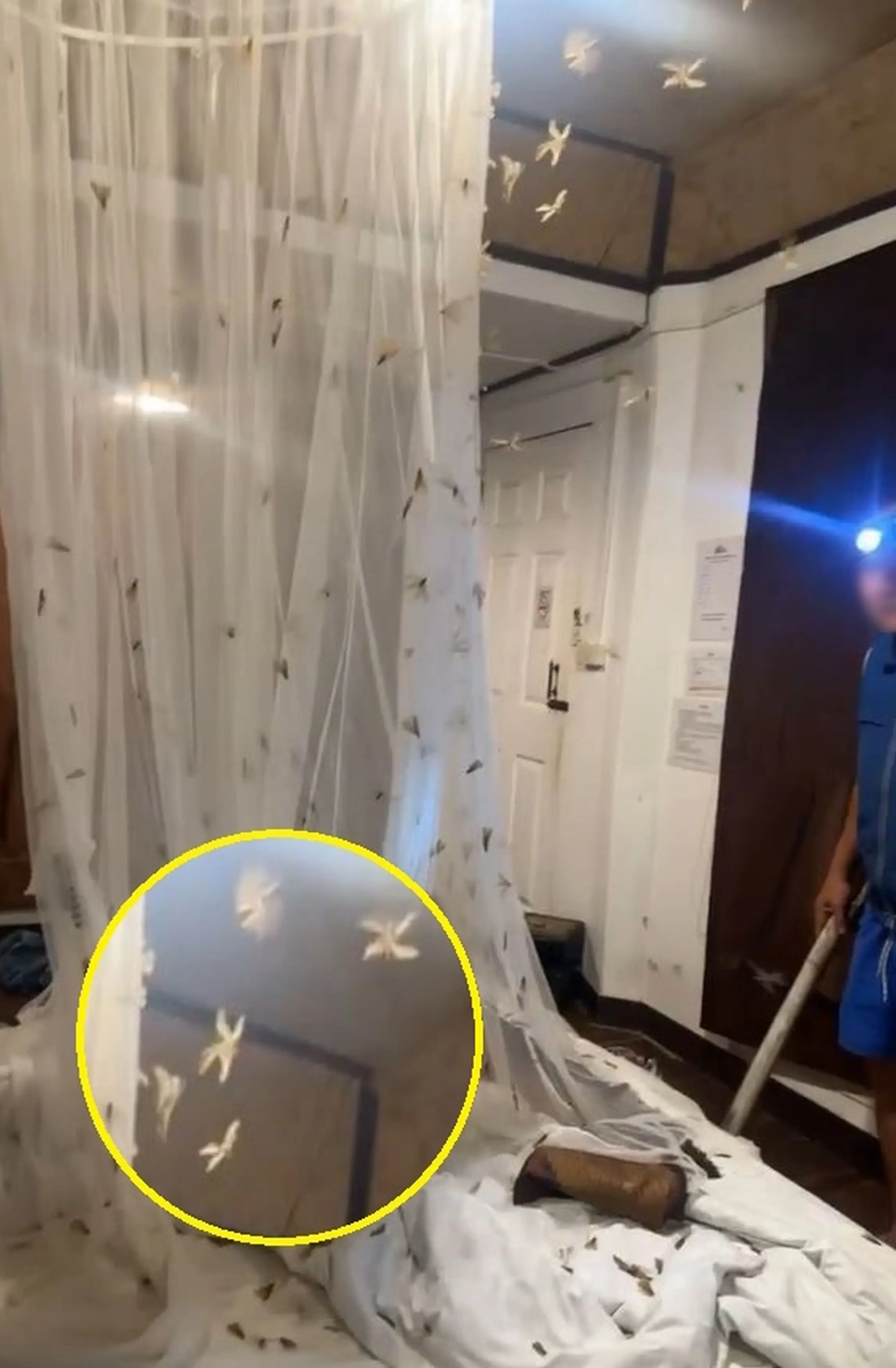 The footage shows that the experience was like something out of a horror film. (Kennedy News and Media)