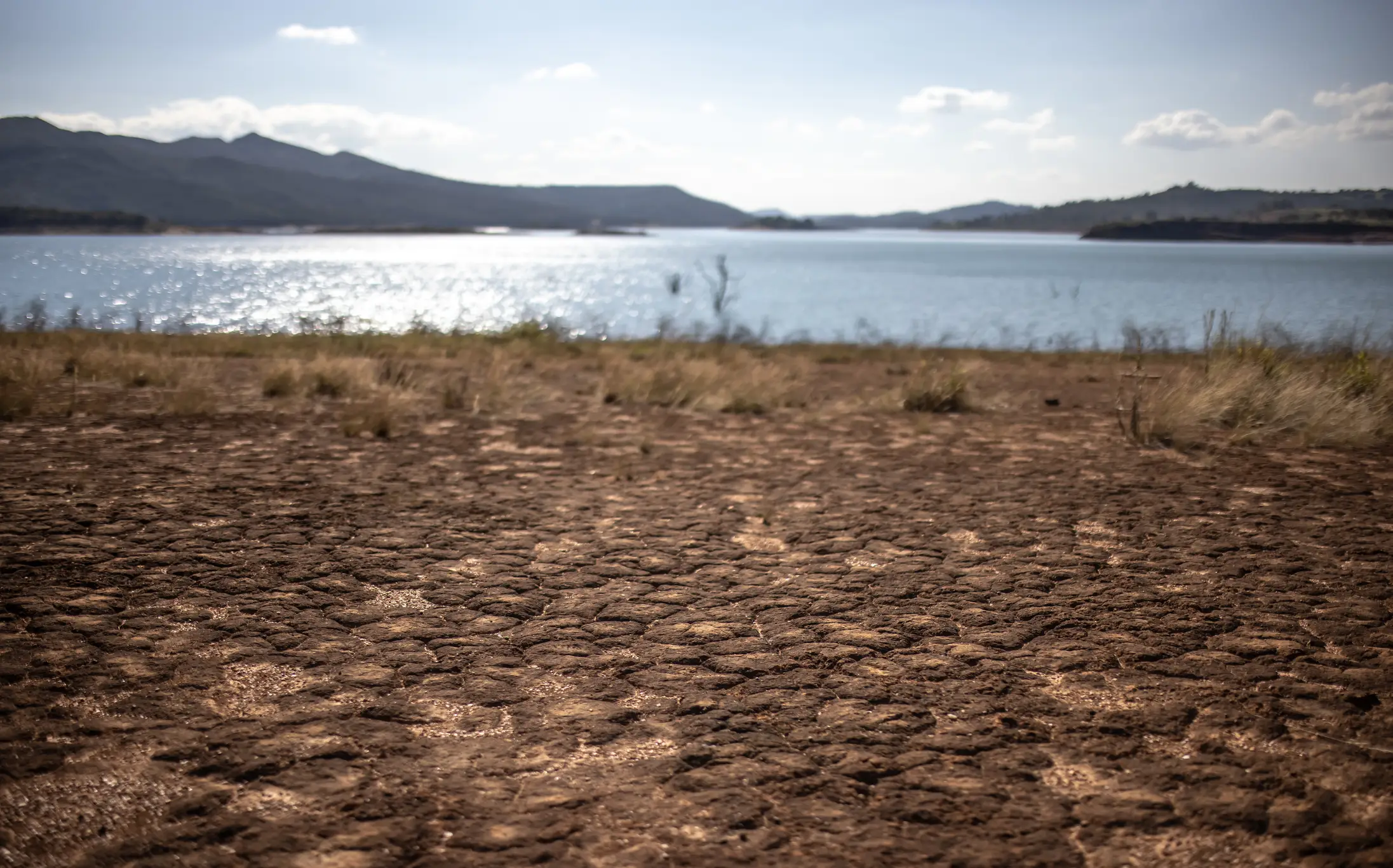 Brazil could be at risk of drought (Getty Images/Jonne Roriz/Bloomberg)