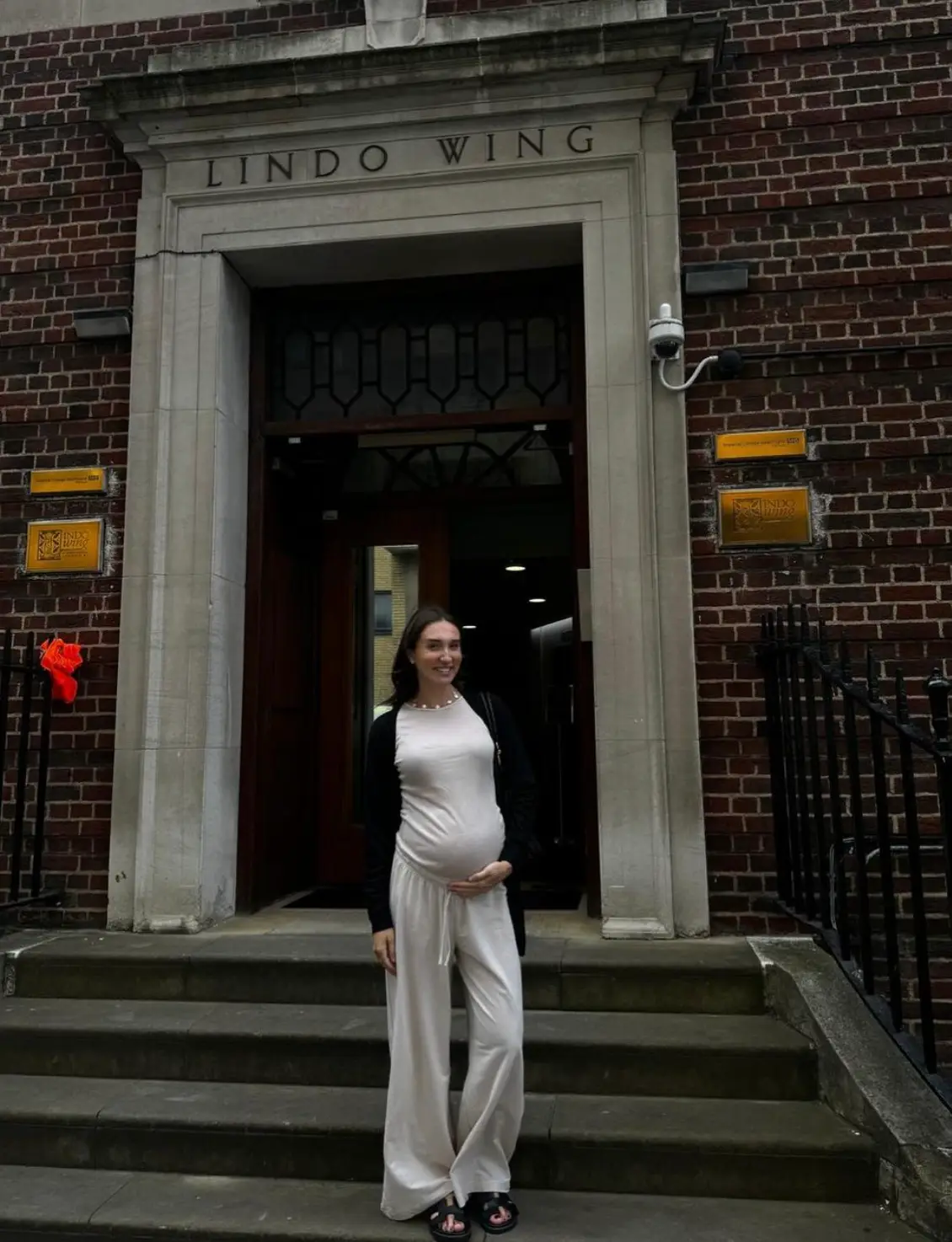 The star has been sharing updates with her fans throughout her pregnancy (meganmckenna/Instagram)