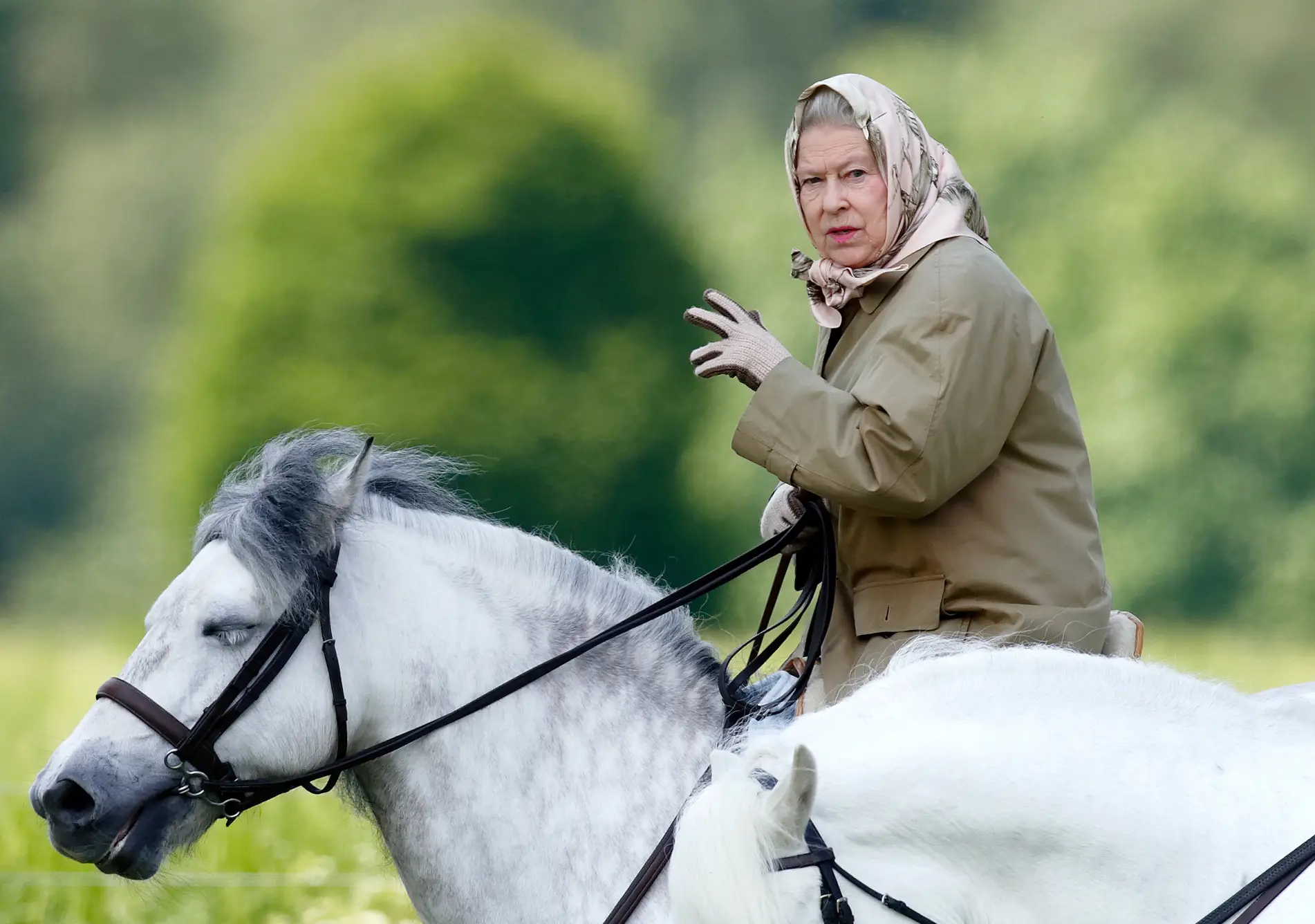 The Queen was reportedly riding well into her 90s (Max Mumby/Indigo/Getty Images)